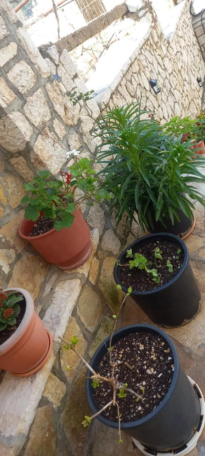 Himara Apartments Dış mekan fotoğraf